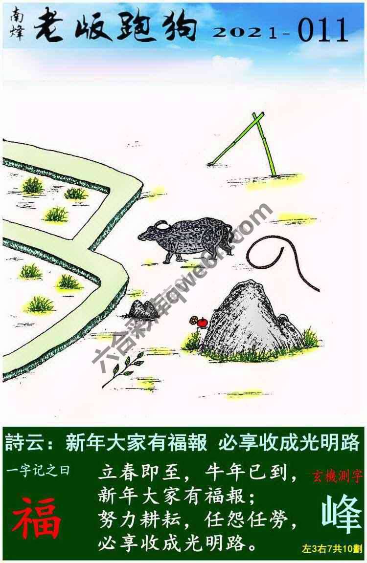 老版跑狗图