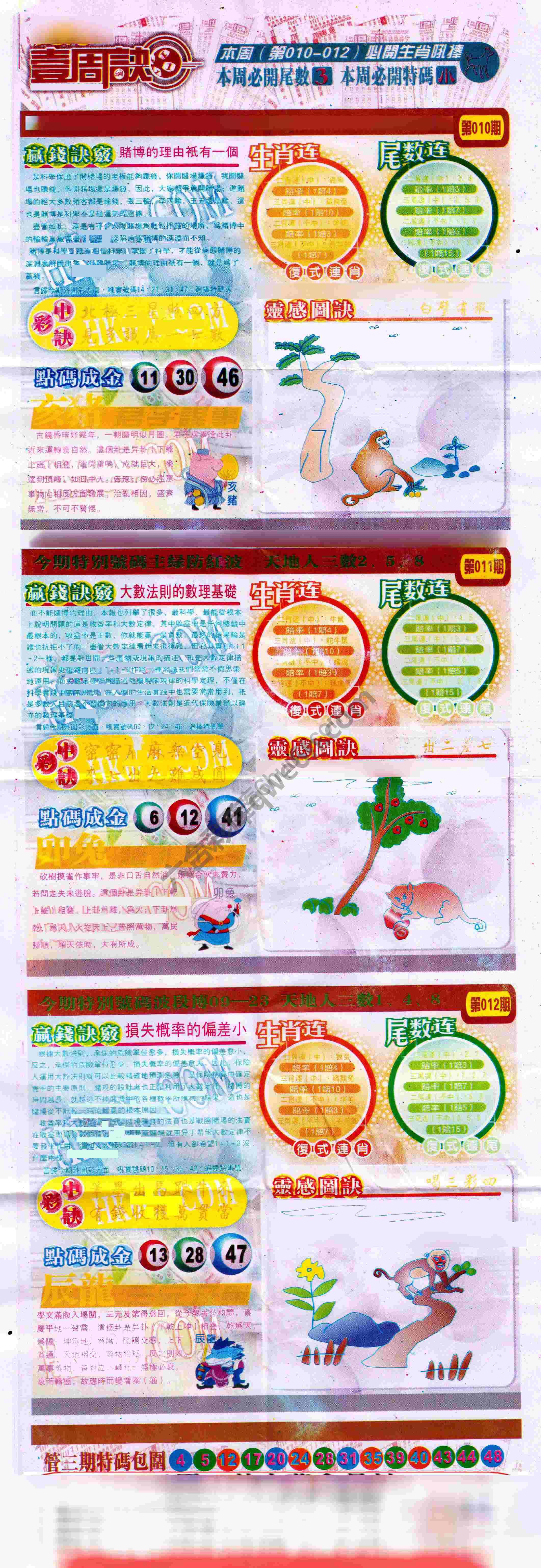一周决