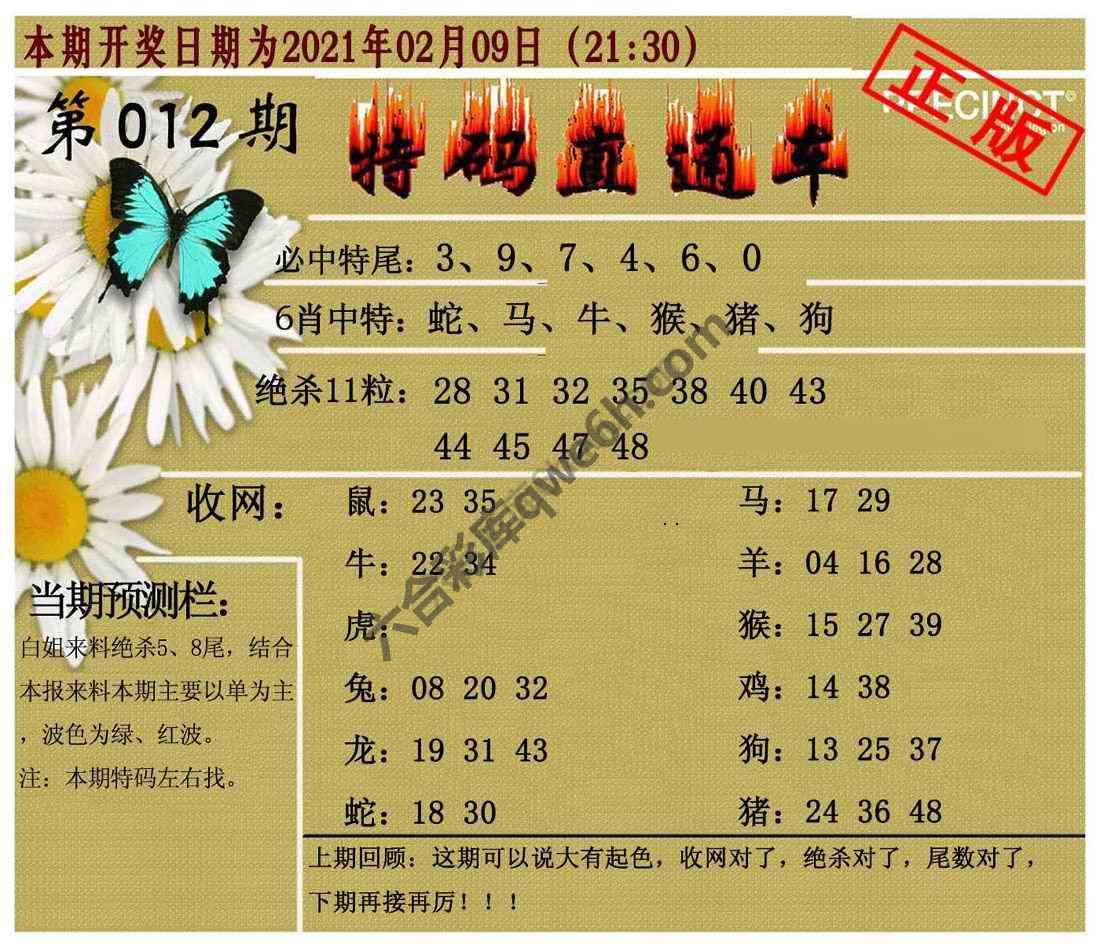 特码直通车