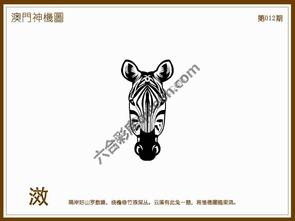 澳门神机图