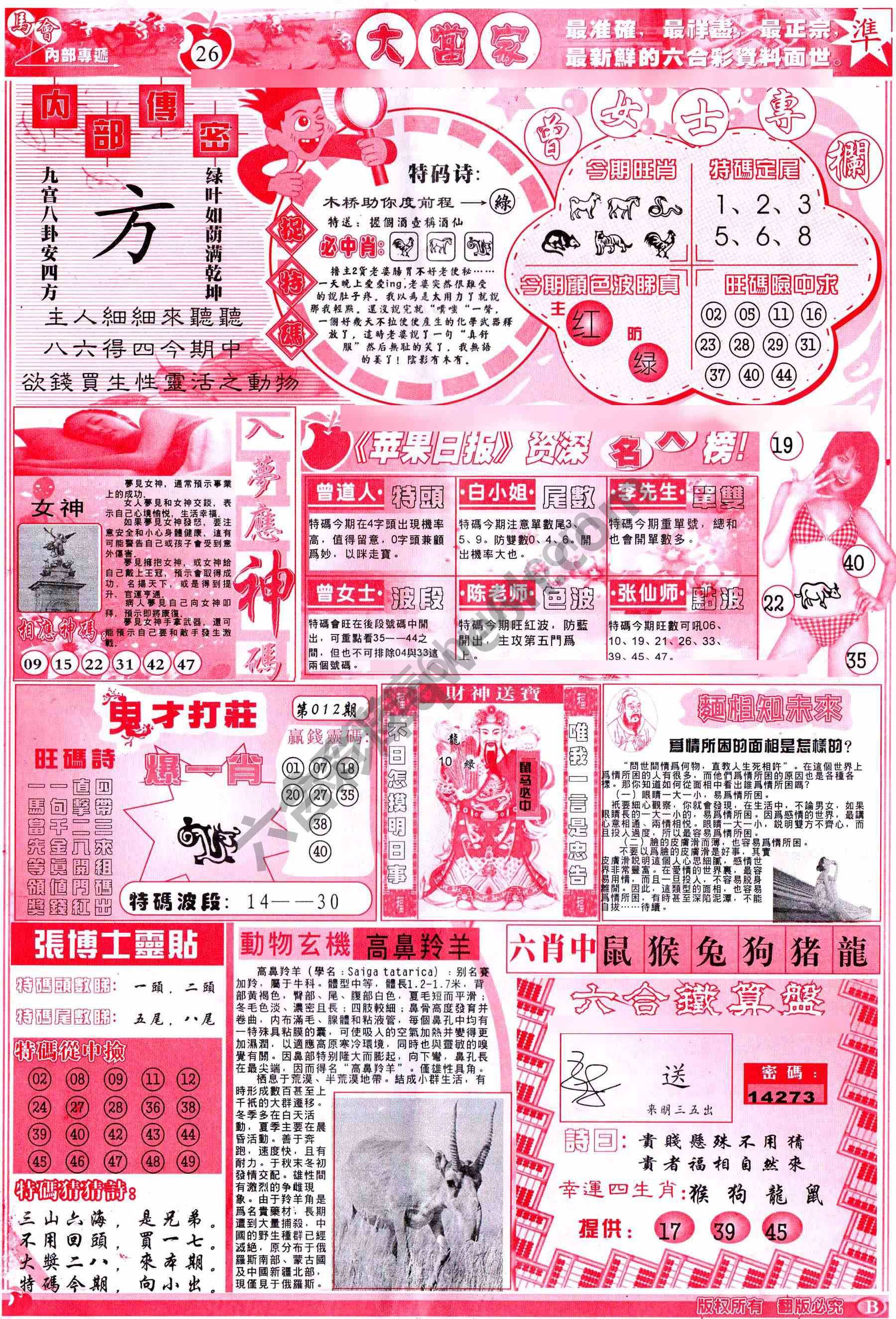 大当家