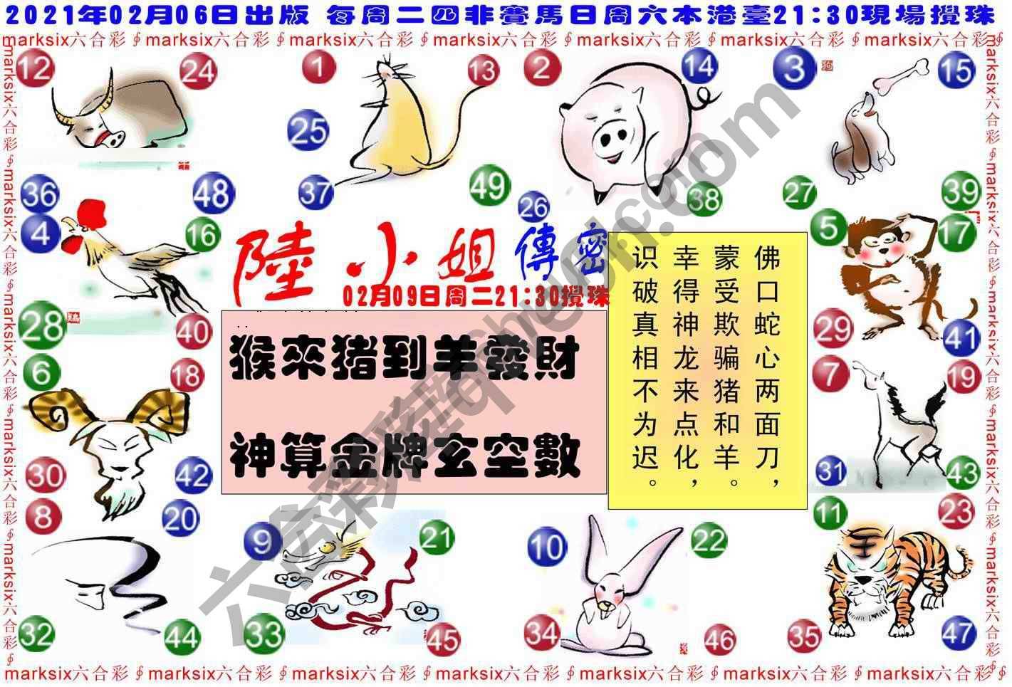 陆小姐传密