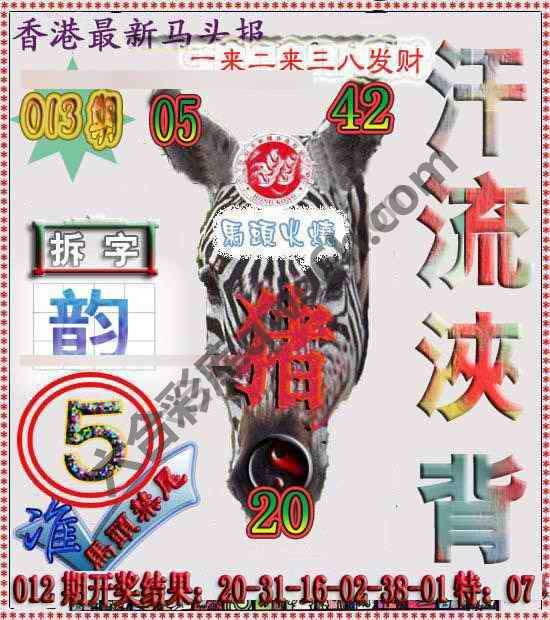 香港马头报