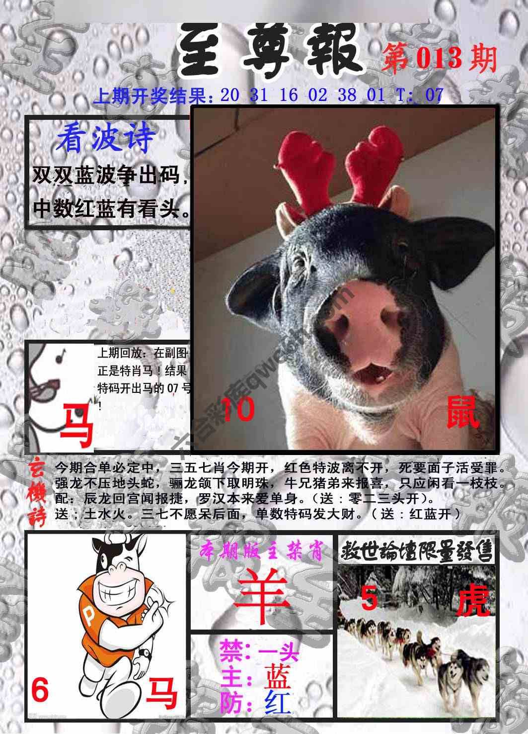 至尊报