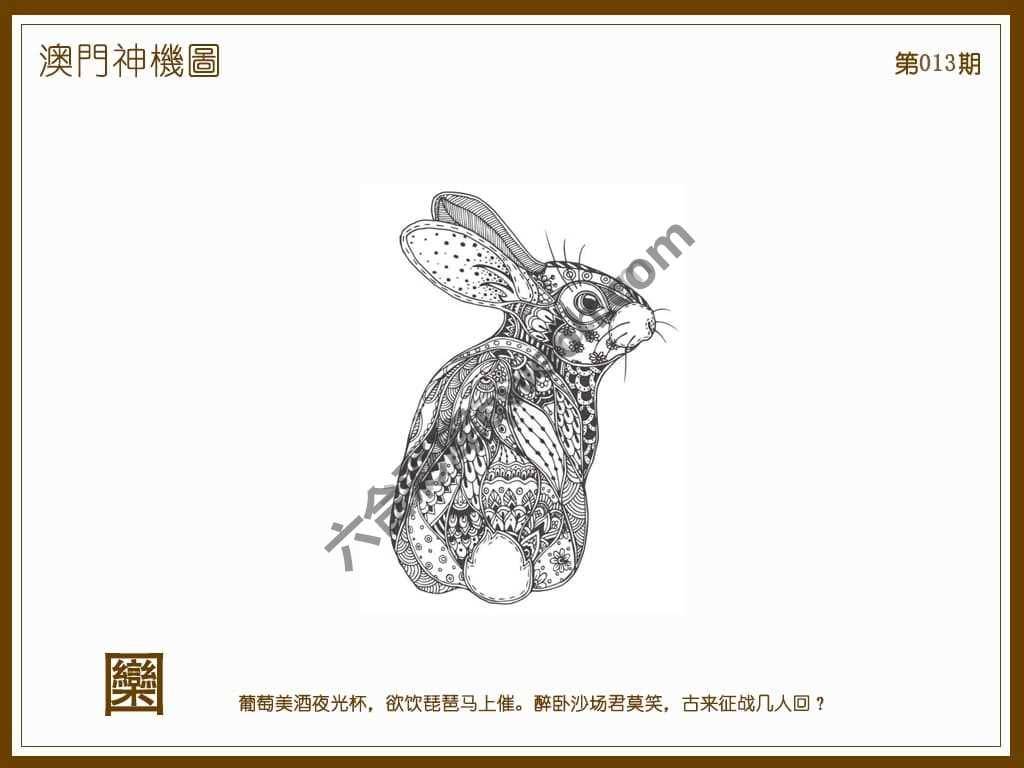 澳门神机图