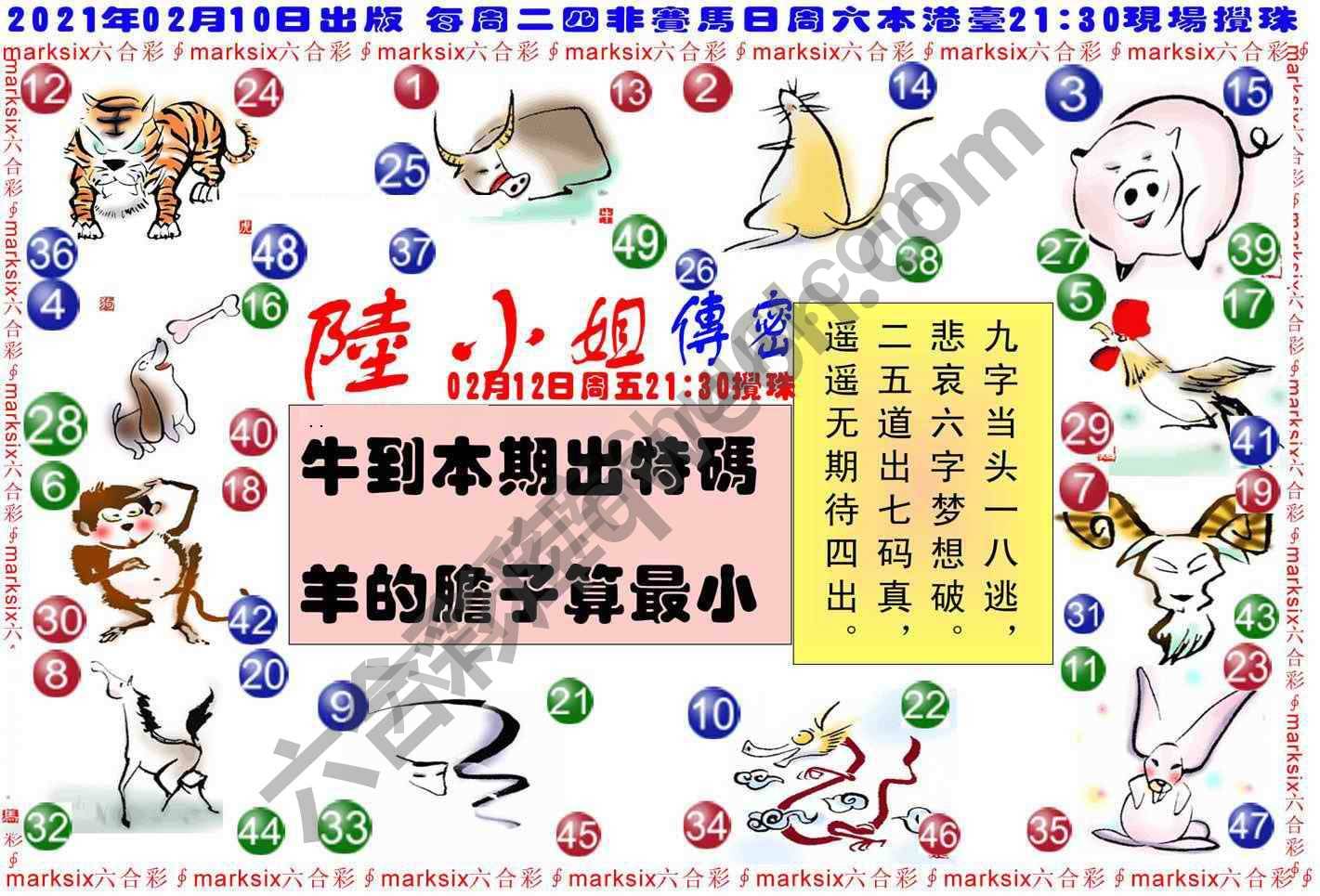 陆小姐传密