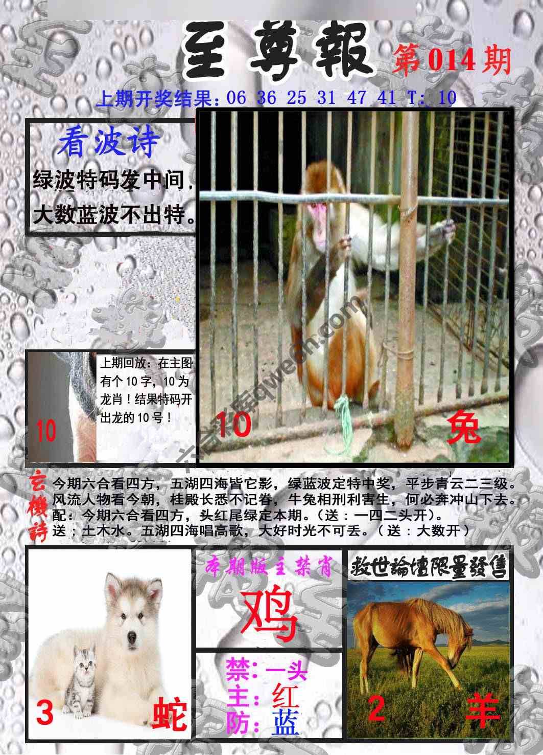 至尊报