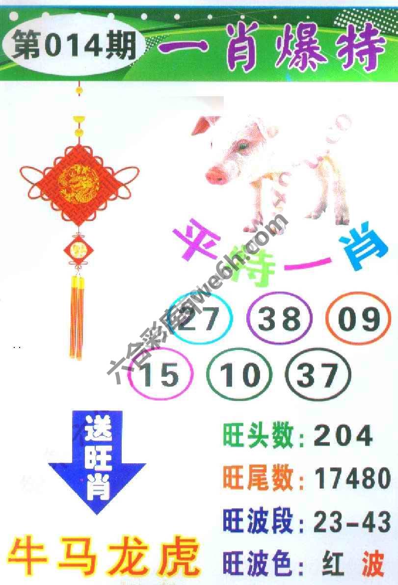 一肖爆特（新版）