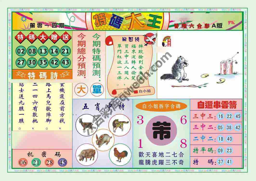 特码大王