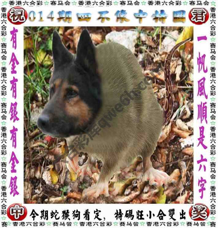四不像中特图