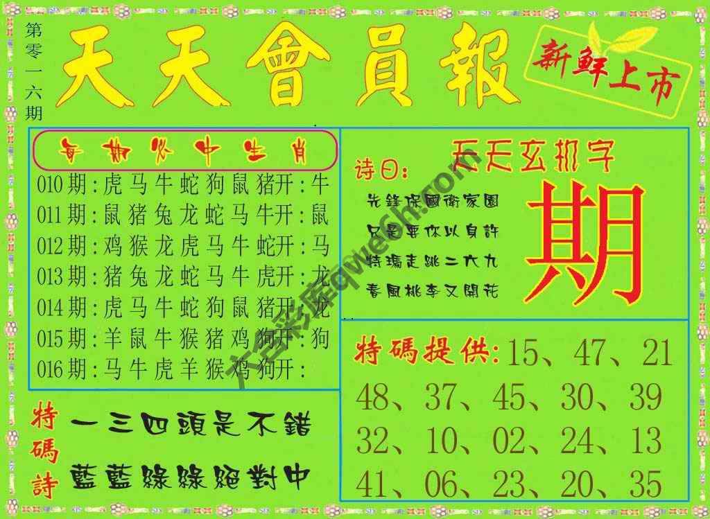 天天会员报