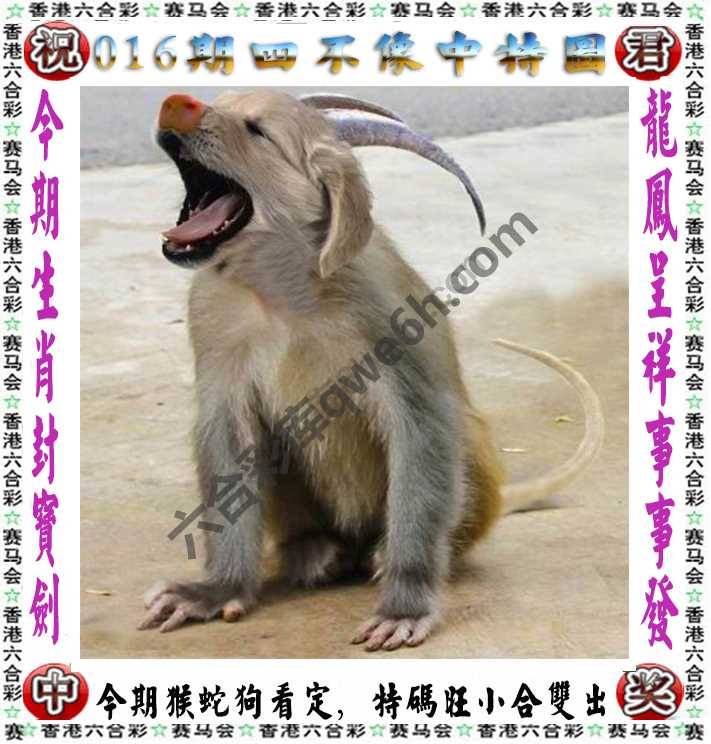 四不像中特图
