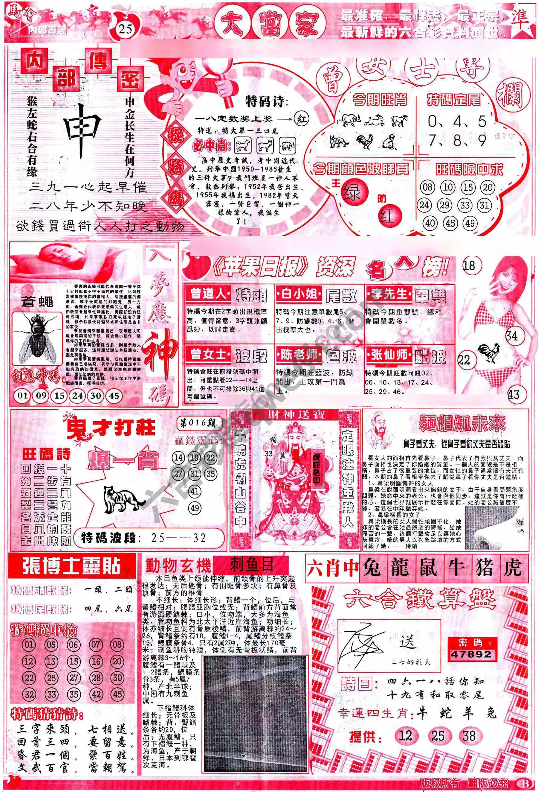 大当家