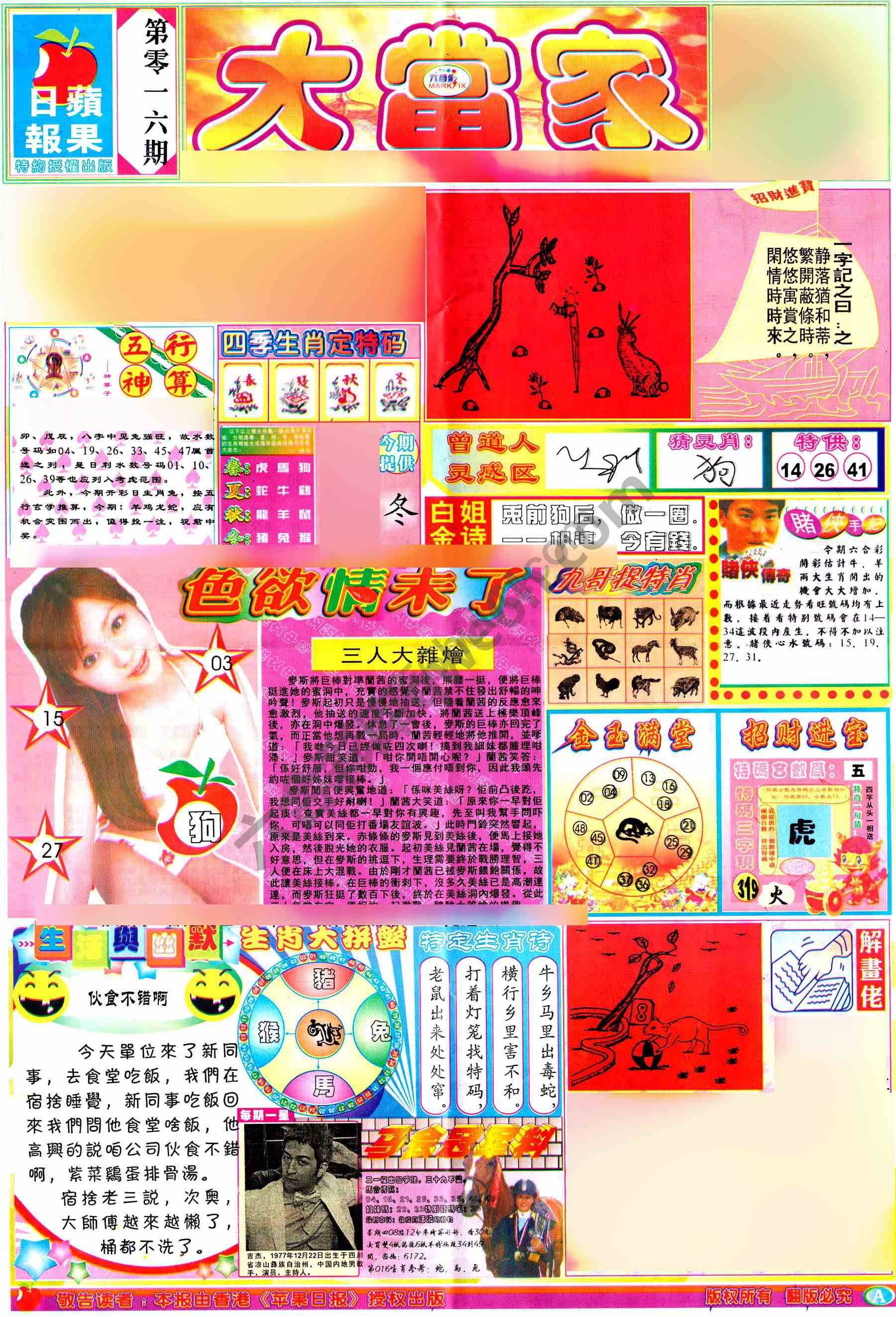 大当家