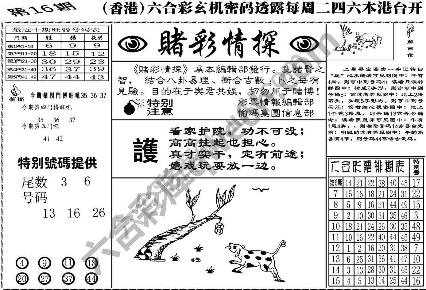 赌彩情探