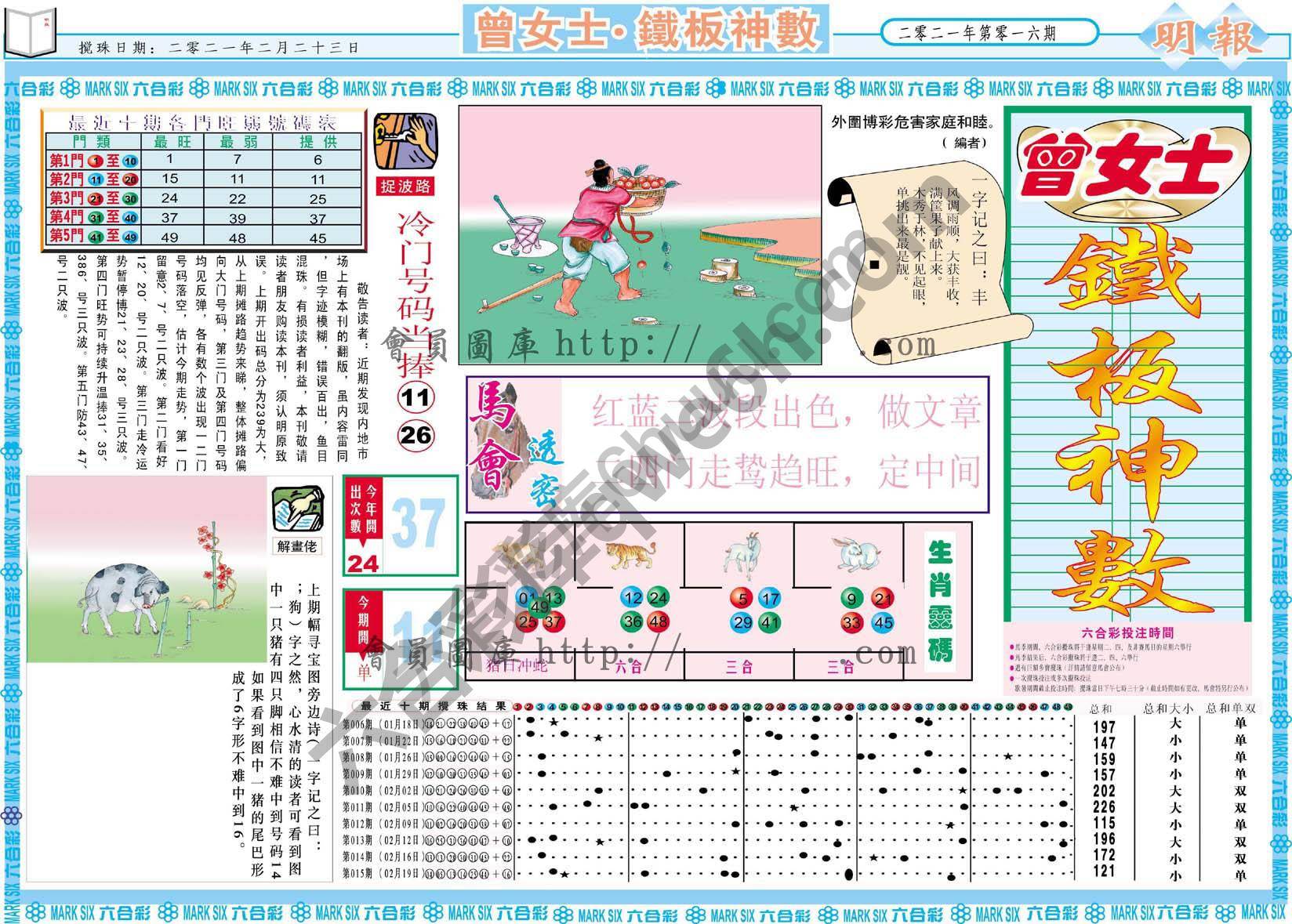 曾女士铁板神数
