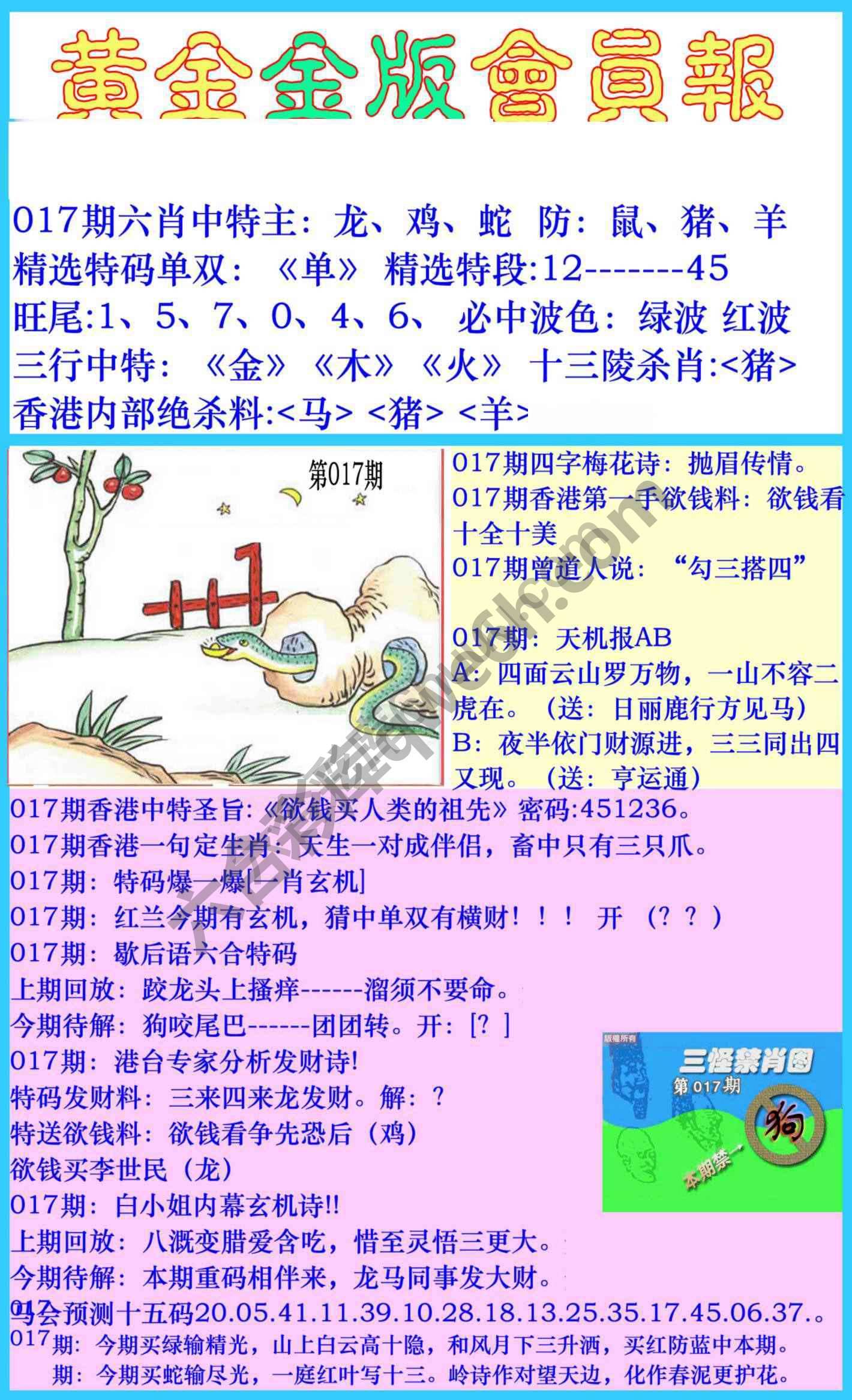 黄金金版会员报