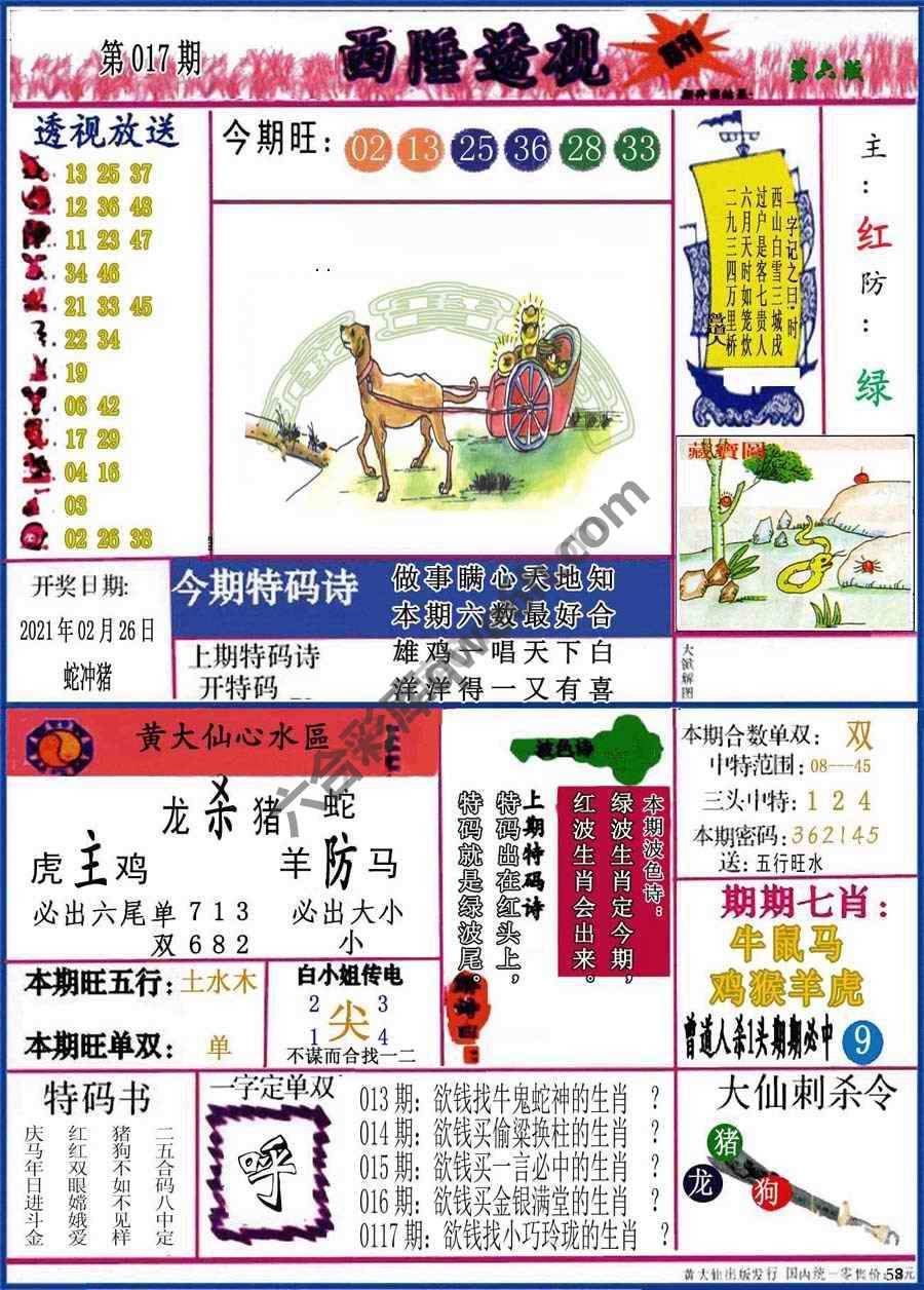 西陲透视（正版）