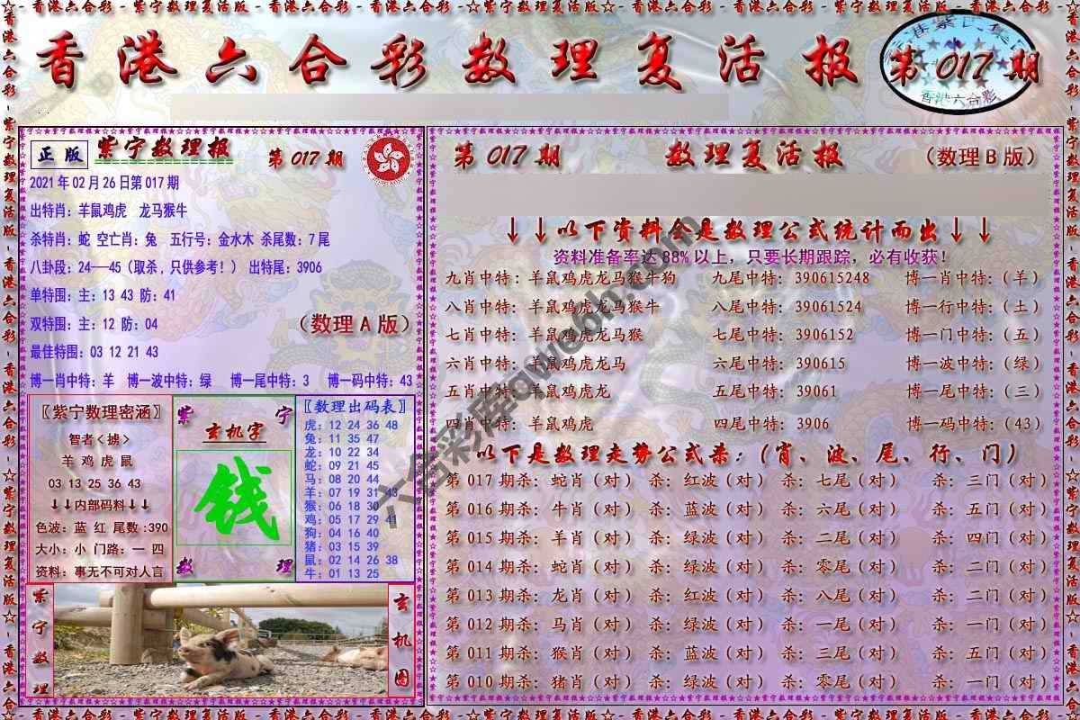 数理复活报