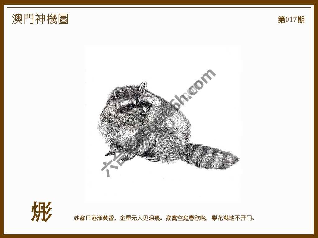 澳门神机图