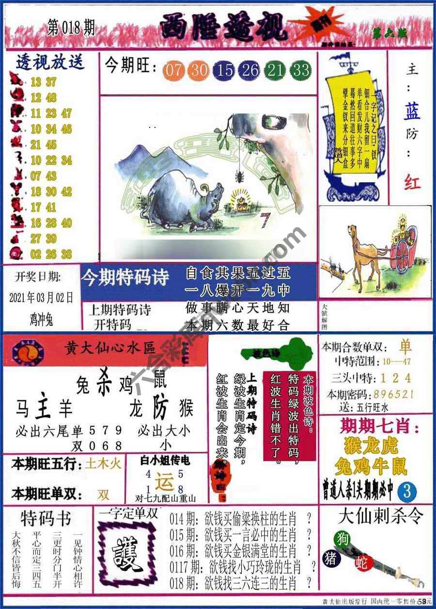 西陲透视（正版）