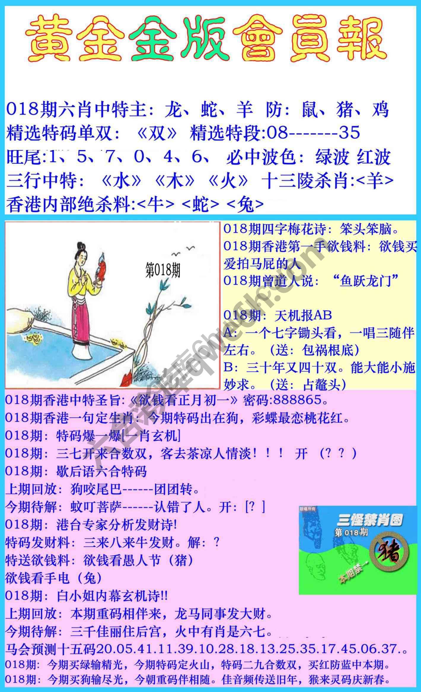 黄金金版会员报