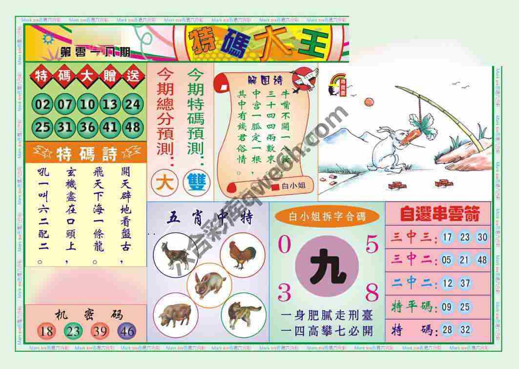 特码大王