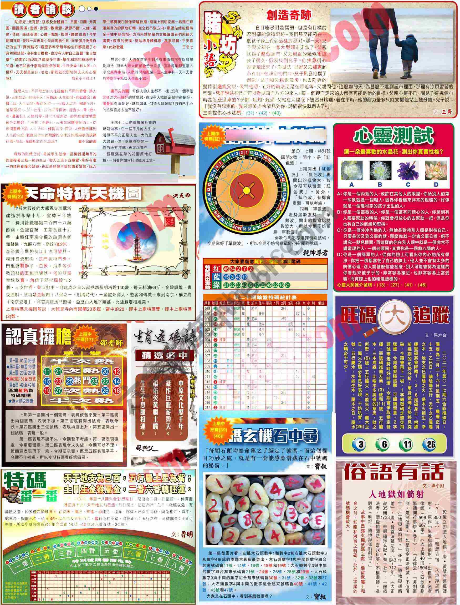大版贴士皇