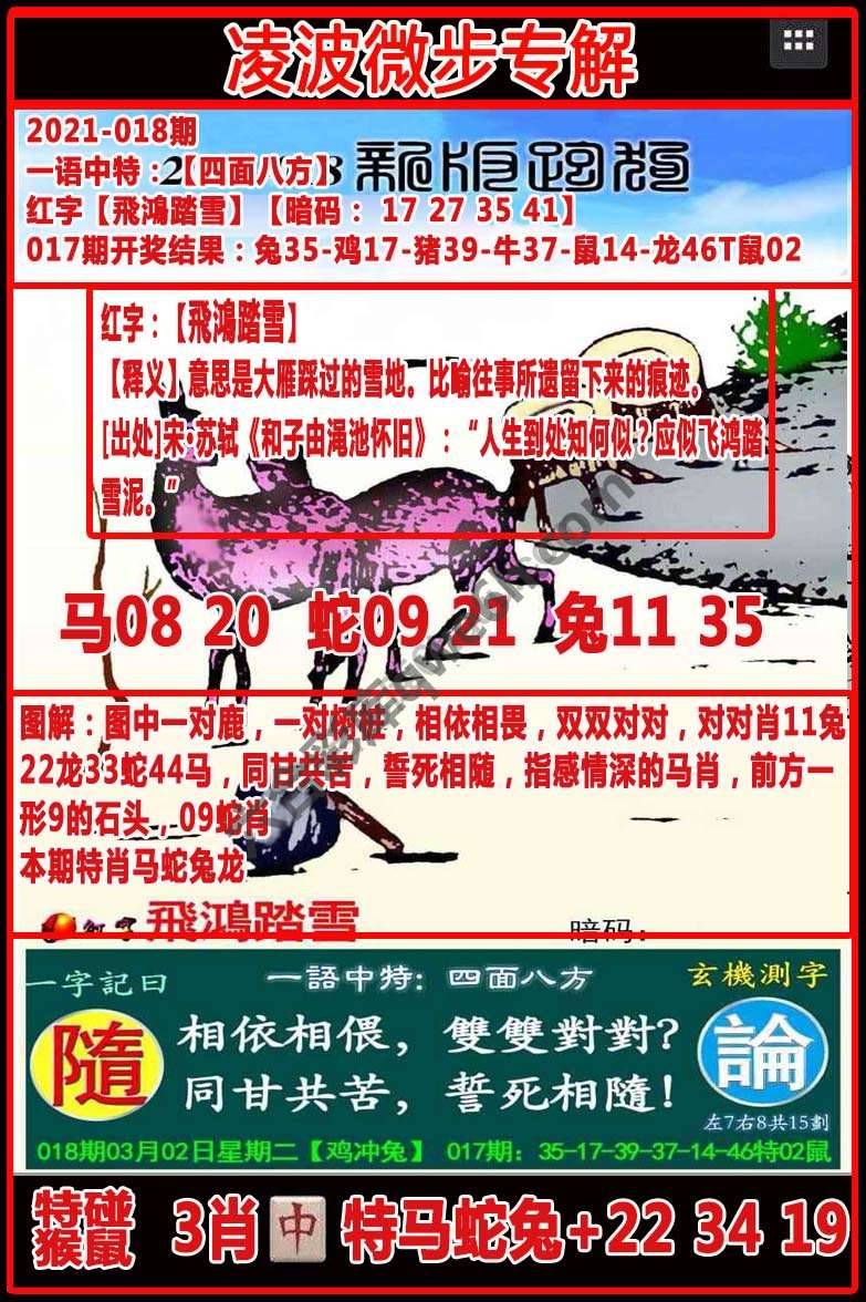 凌波微步解跑狗
