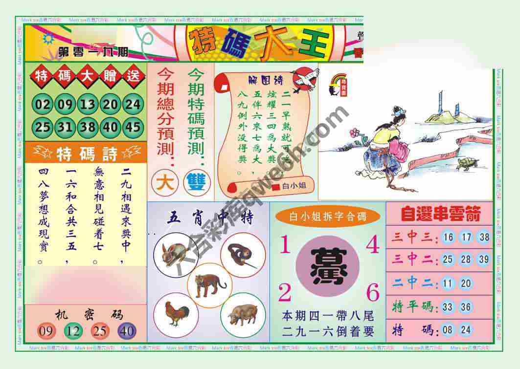 特码大王