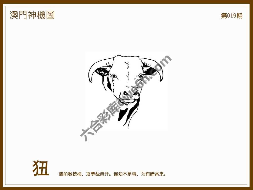 澳门神机图