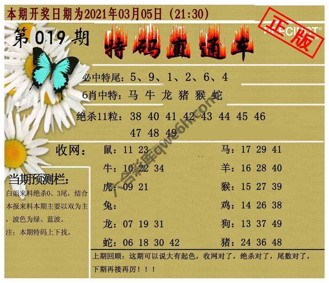 特码直通车