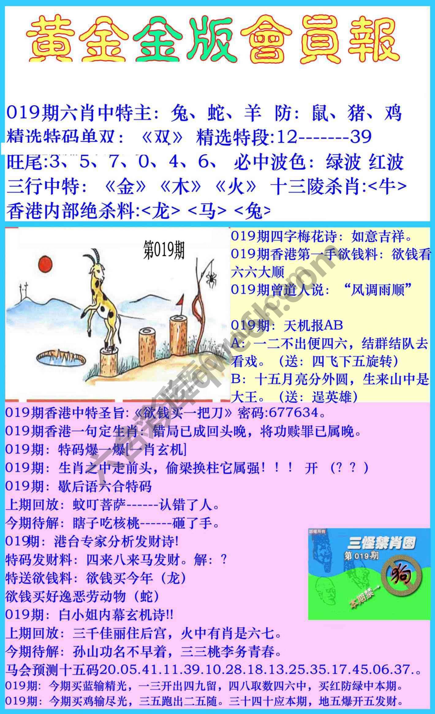 黄金金版会员报