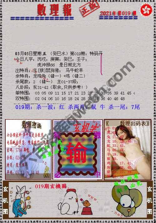 数理报