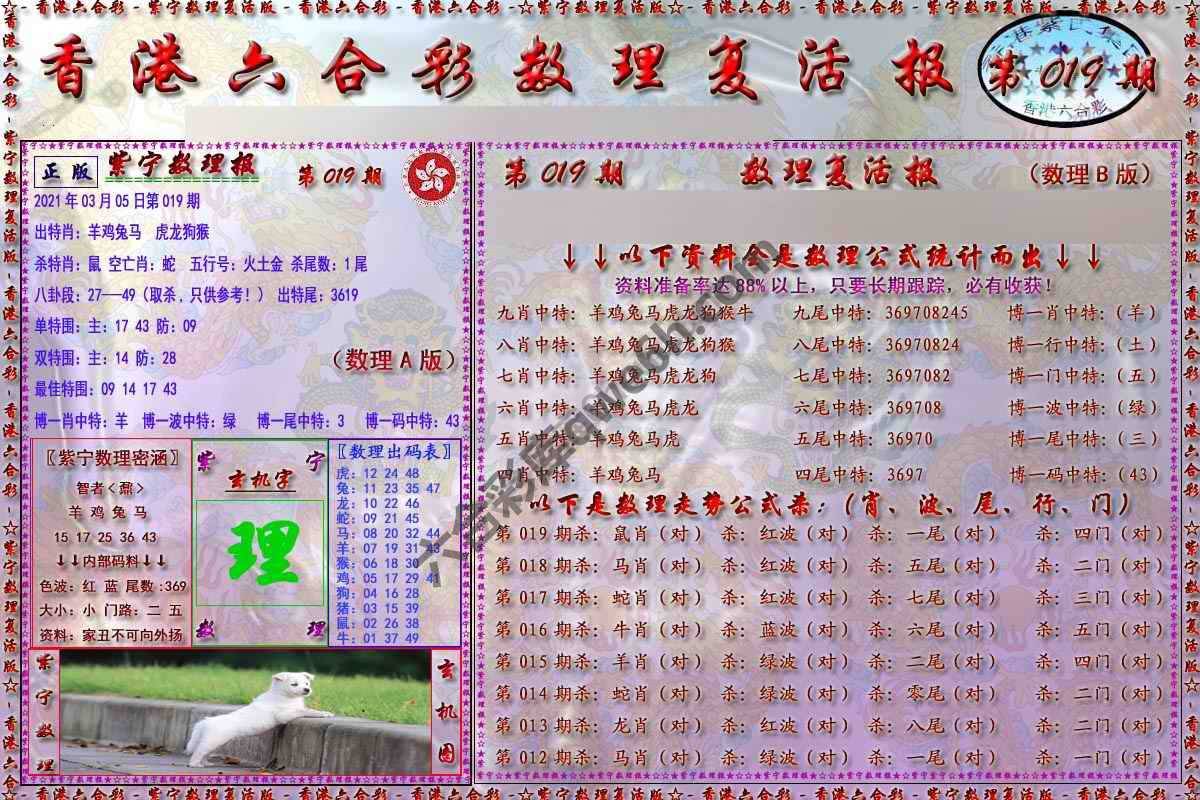 数理复活报