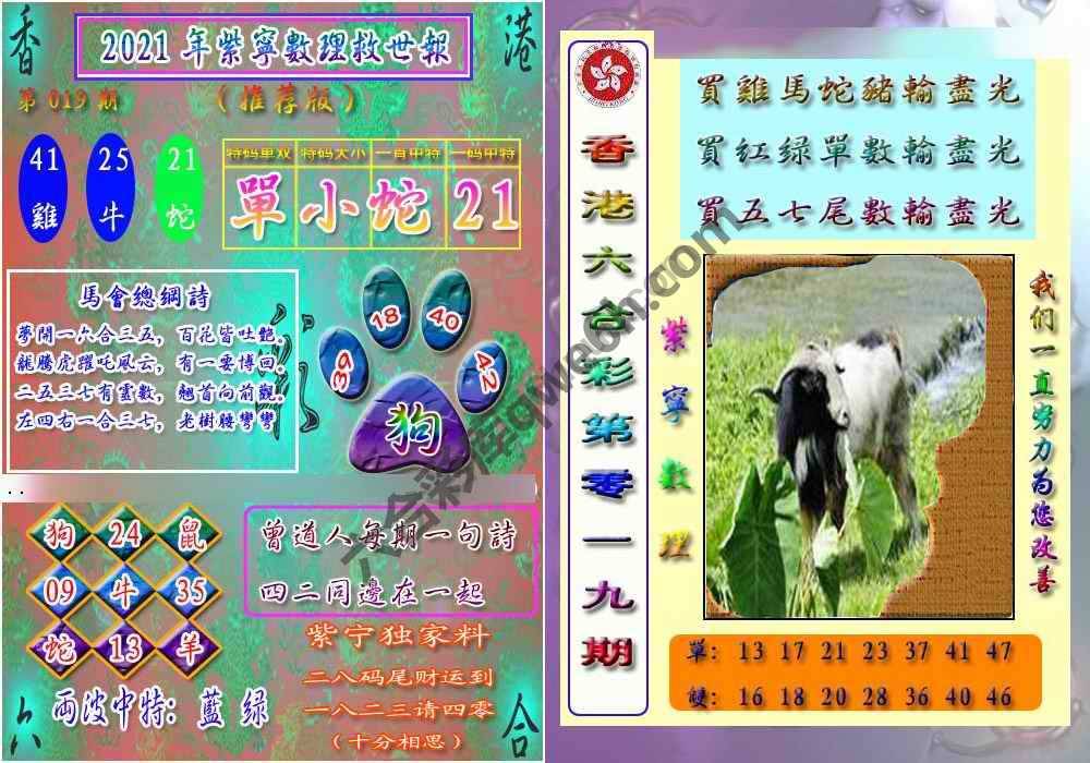 数理救世报