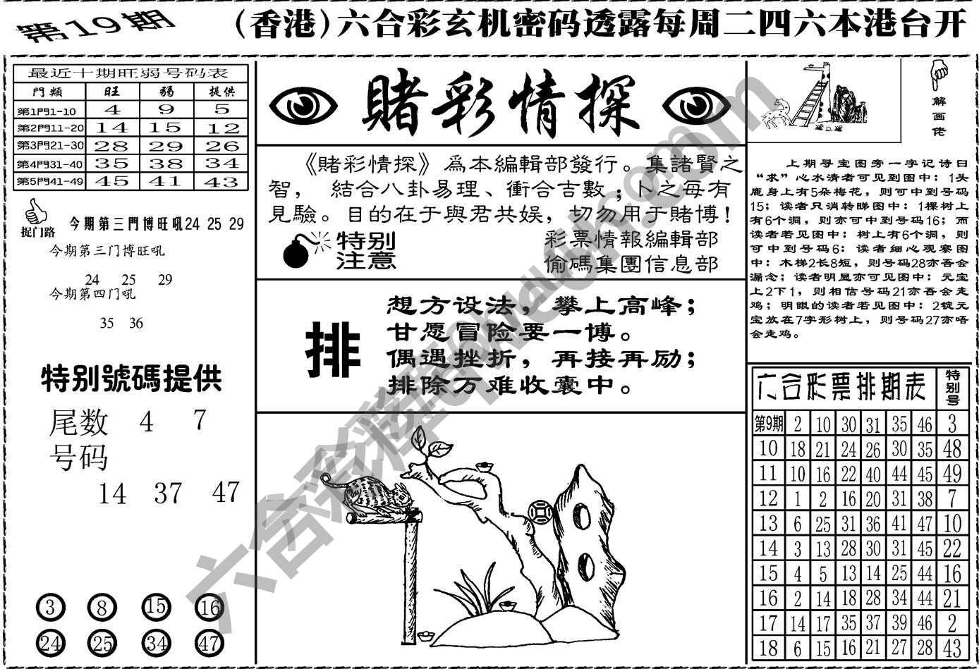 赌彩情探