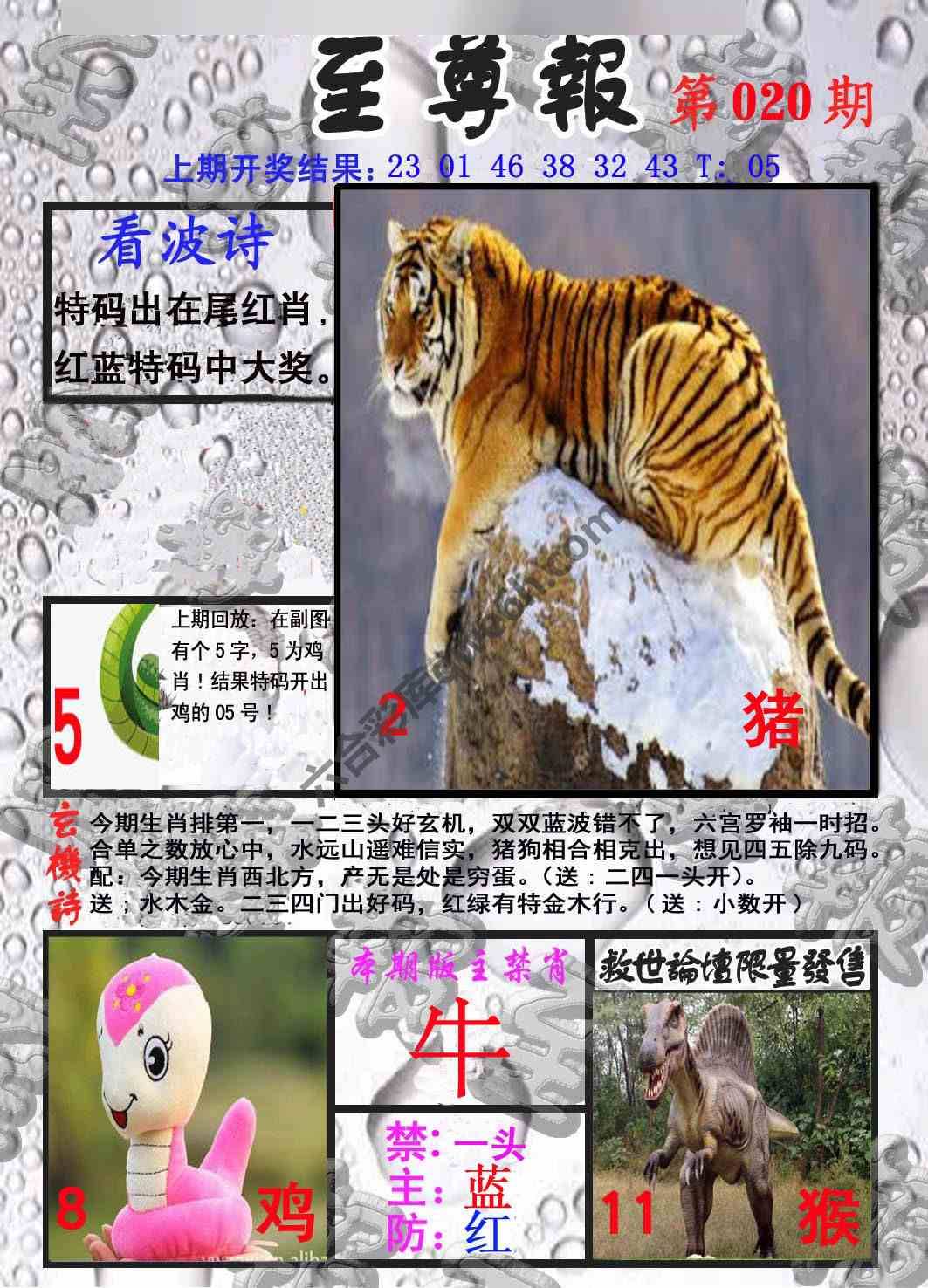 至尊报