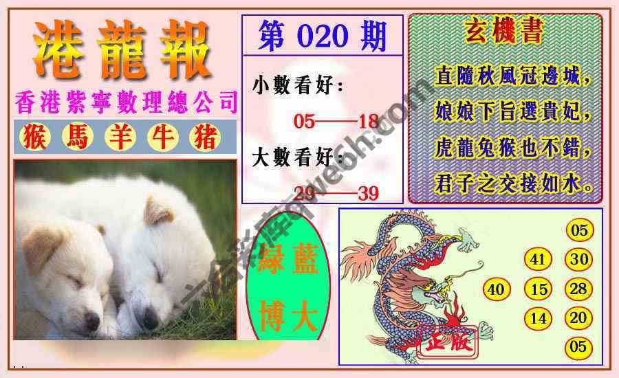 港龙报