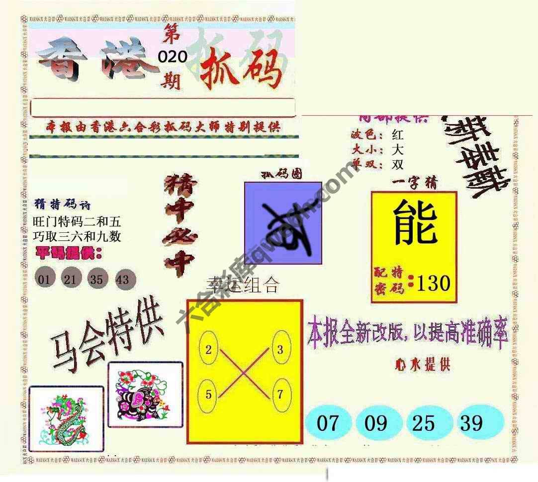 新抓码王
