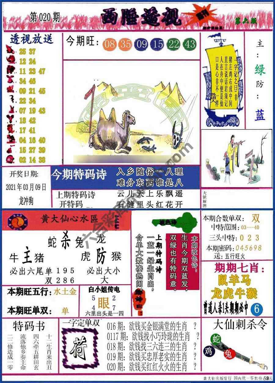 西陲透视（正版）