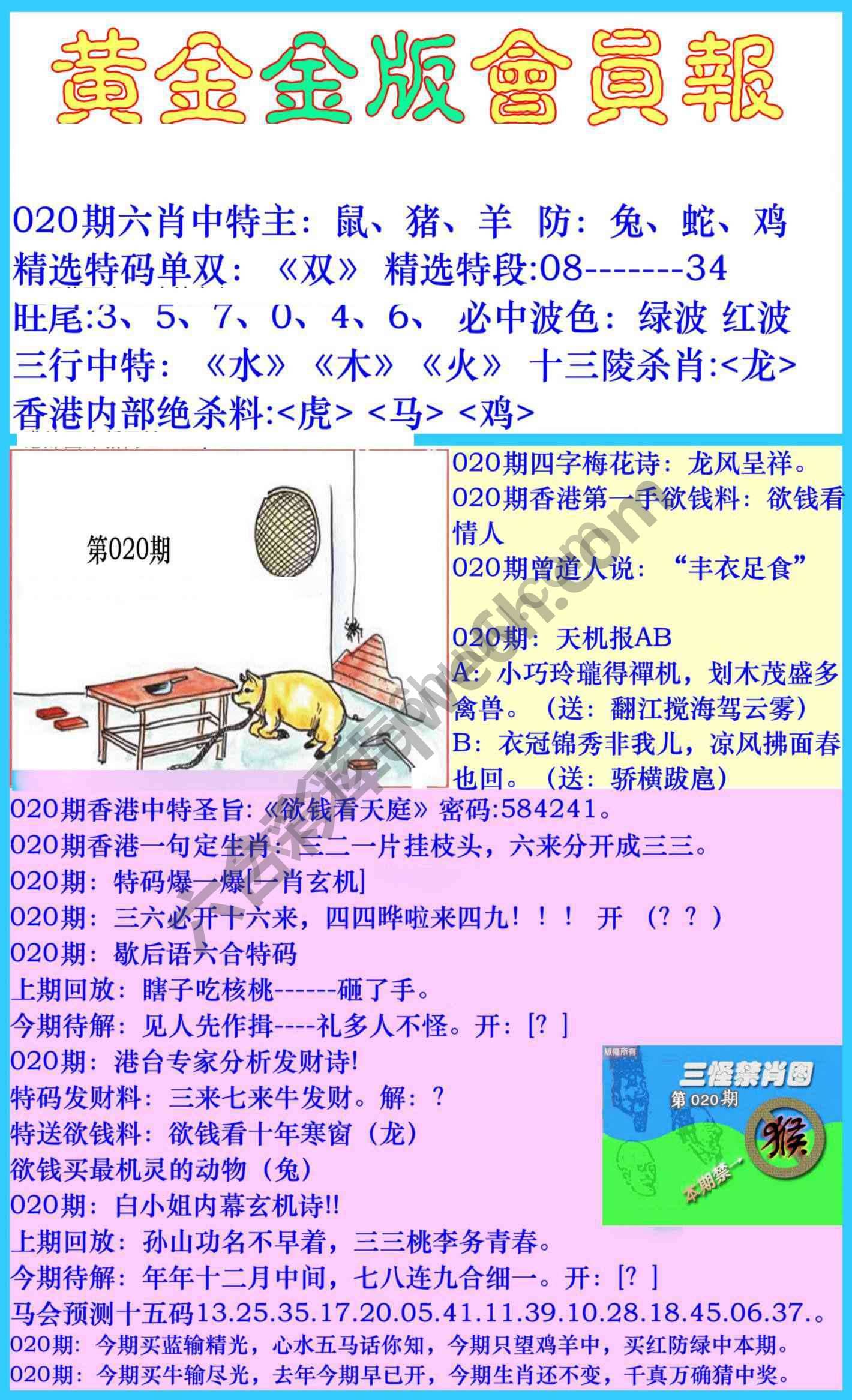 黄金金版会员报