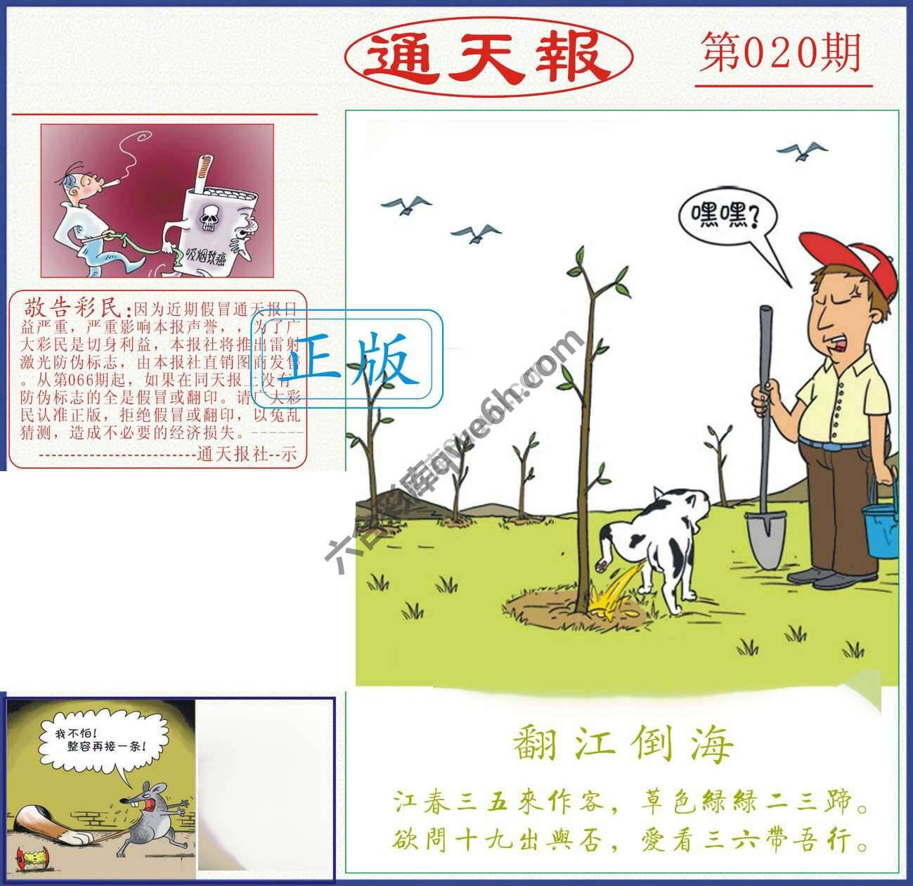 正版通天报