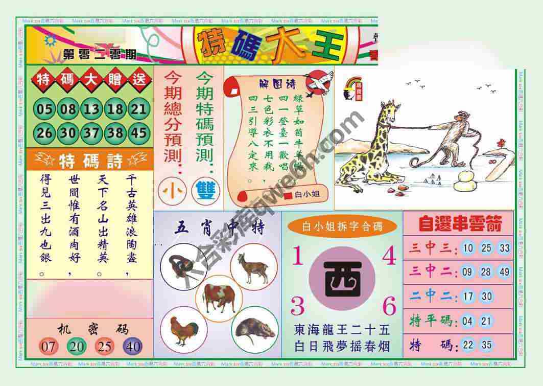 特码大王