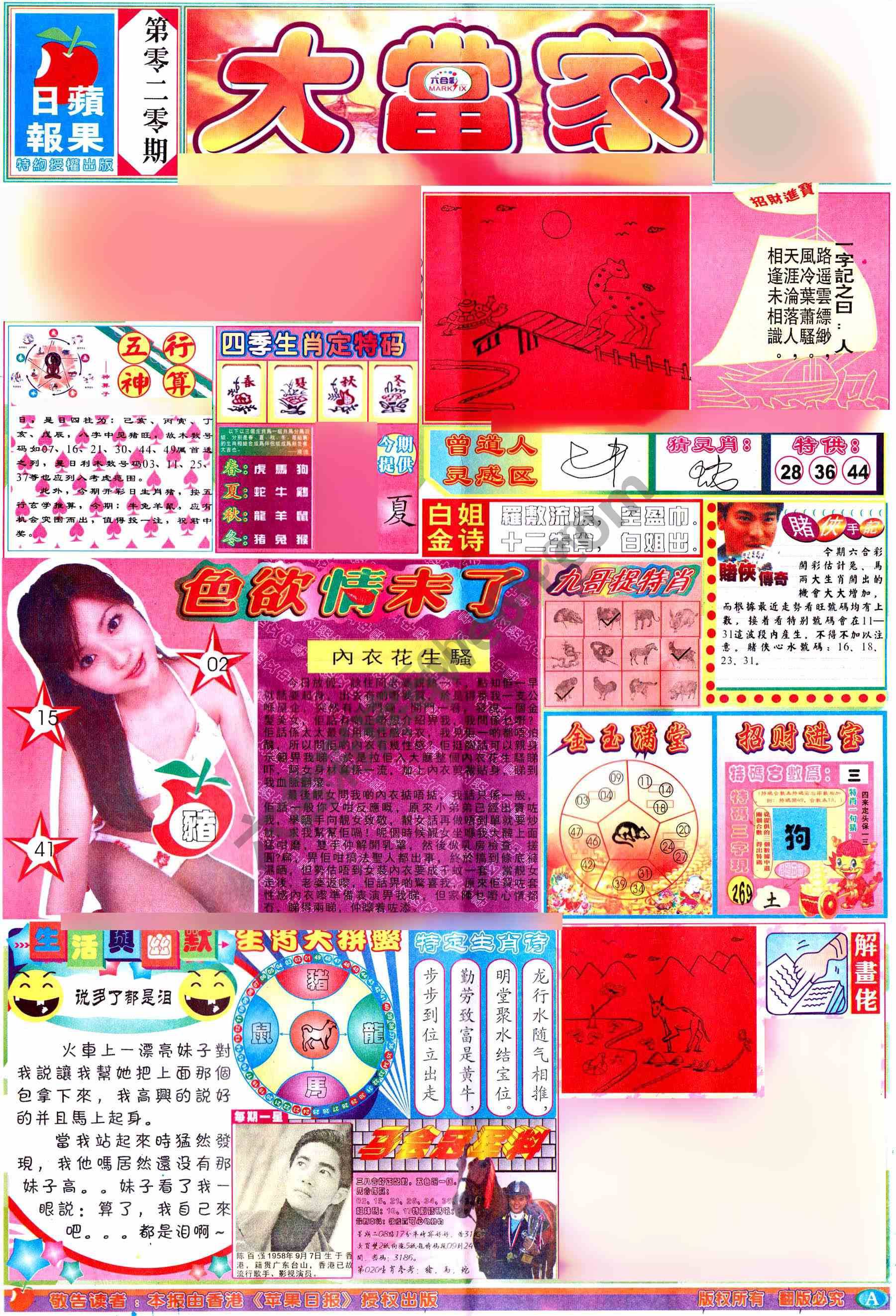 大当家