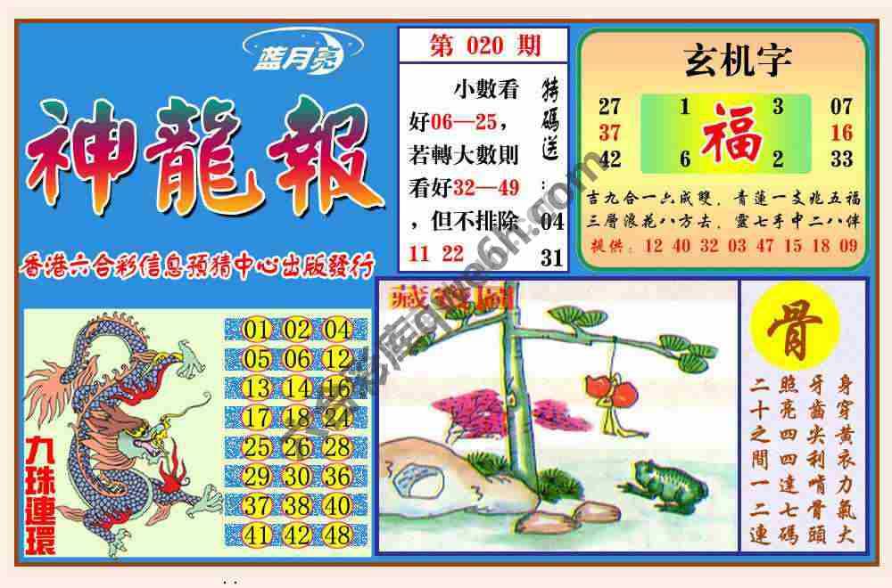 蓝月亮神龙报