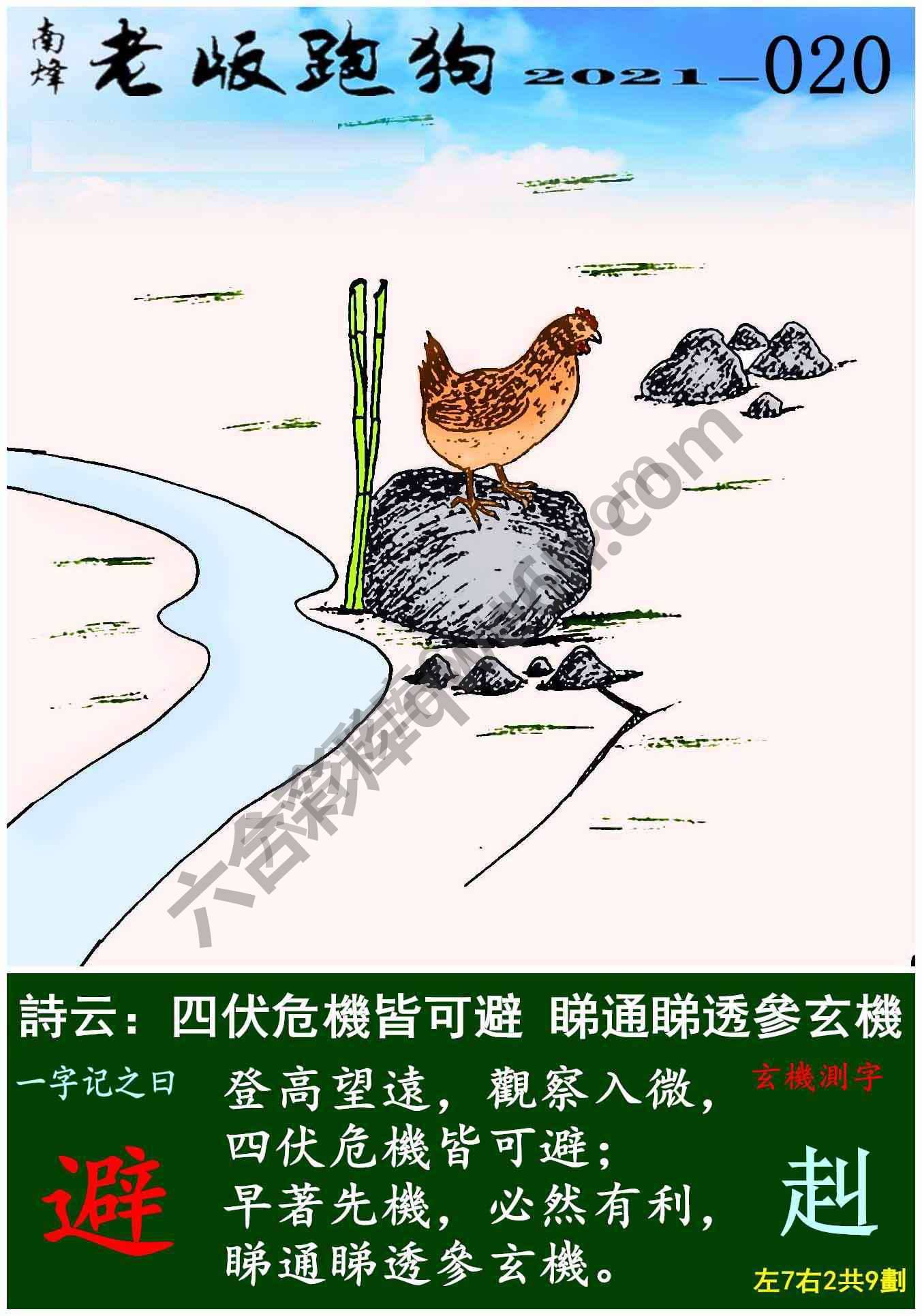 老版跑狗图
