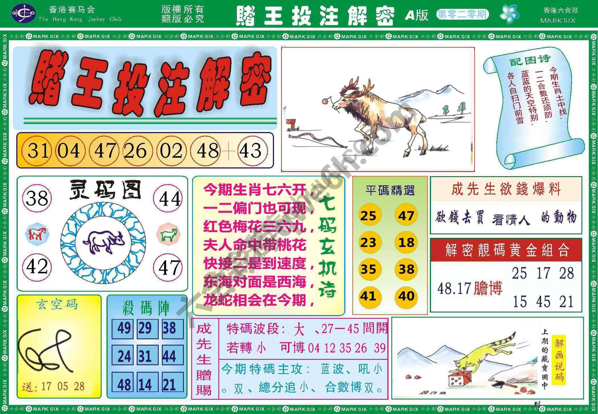 赌王投注解密