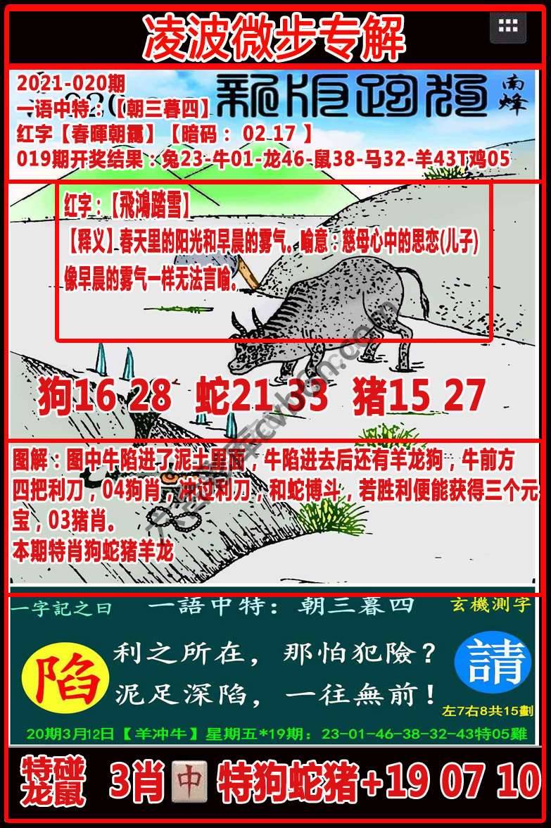 凌波微步解跑狗