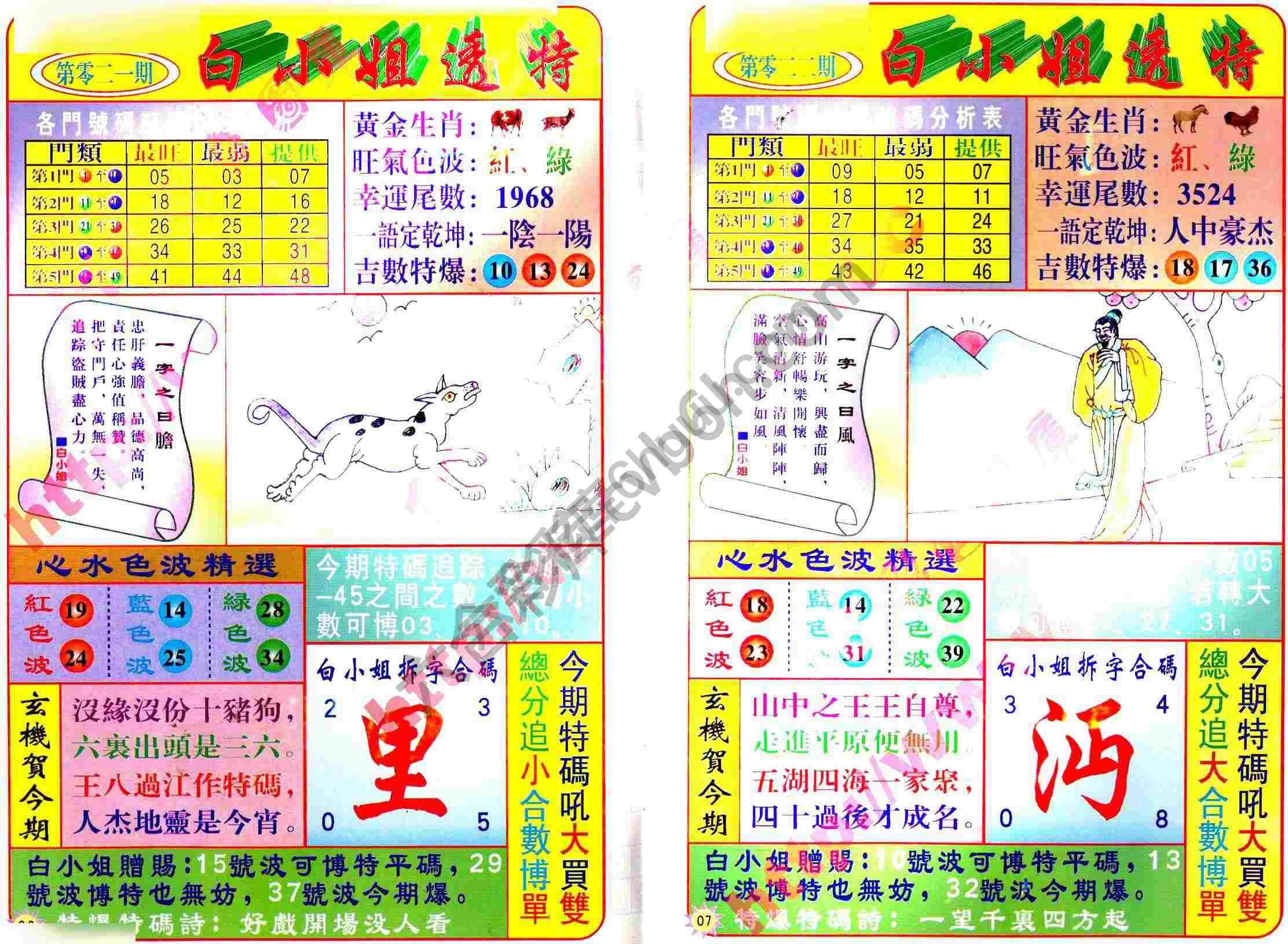 白小姐透特